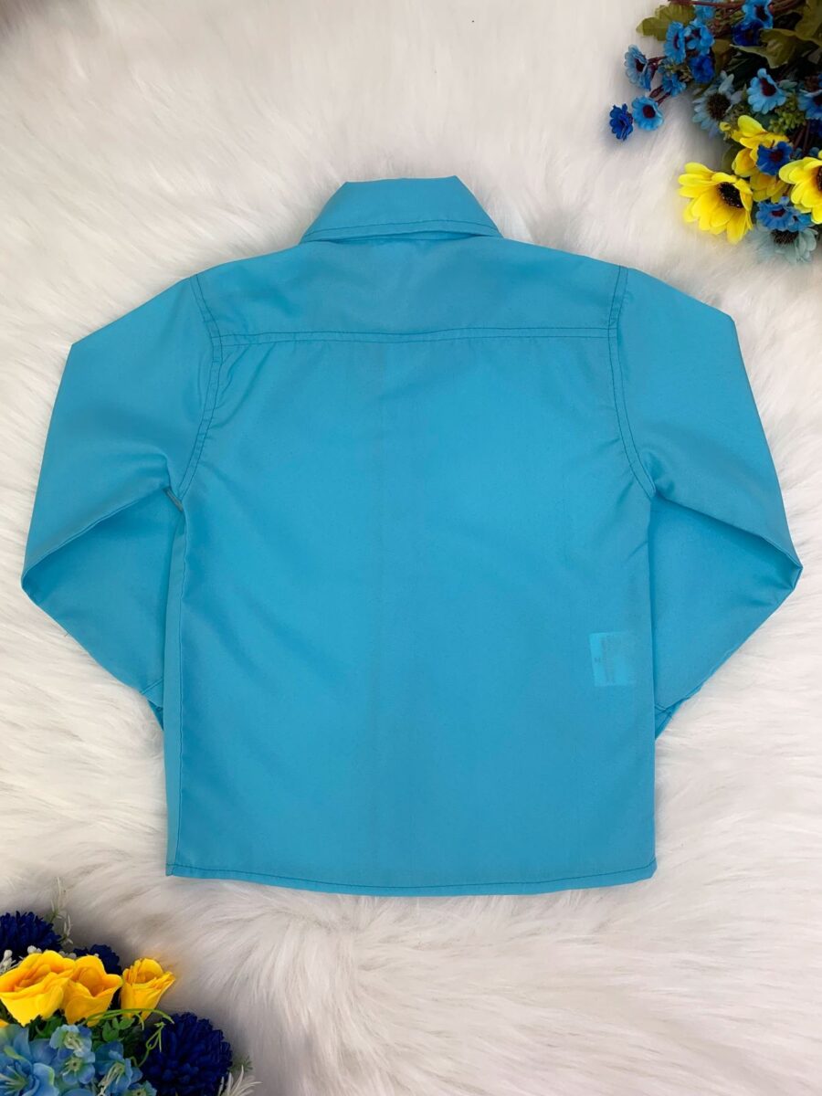 Camisa Social Infantil Azul Manga Longa Príncipes Canelada