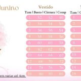 Vestido Junino Poliana