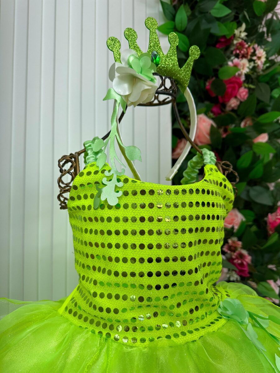 Fantasia Infantil Princesa Belli Longa Verde