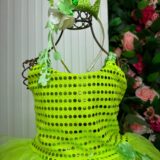 Fantasia Infantil Princesa Belli Longa Verde