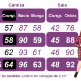 Conjunto Junino Adulto Flanela Camisa e Saia Xadrez