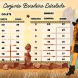 Conjunto Infantil Boiadeira Estrelada Dourado Jeans