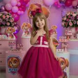 Vestido Infantil Temático Esquadrão Canino Mini Miss Pink