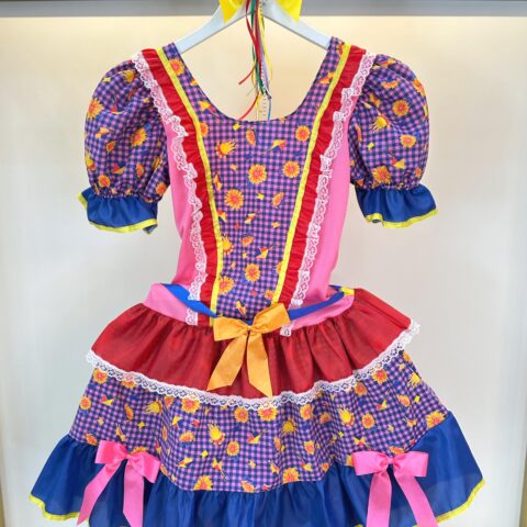 Fantasia Junina Adulto Vestido Arraiá Lilás Xadrez