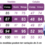 Fantasia Junina Adulto Vestido Arraiá Lilás Xadrez