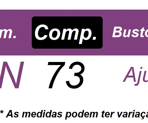 Avental Adulto Junino Caipira Arraiá Festas Tam. Unico Cores