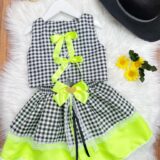 Conjunto Junino Infantil Colete e Saia Xadrez Verde