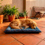 Colchonete Pet Quality Impermeável Grande Jade