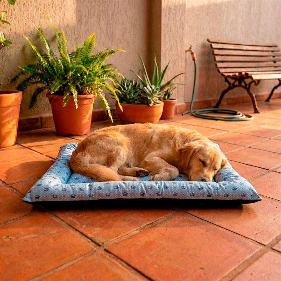 Colchonete Pet Quality Impermeável Pequeno Realeza Azul