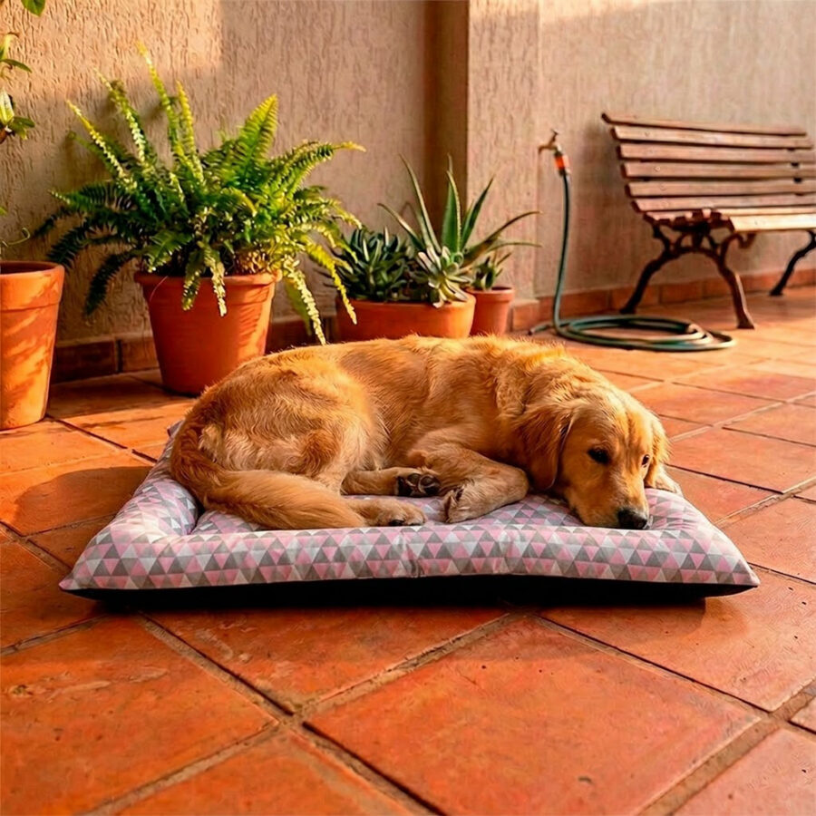 Colchonete Pet Quality Impermeável Médio Collor Rosa