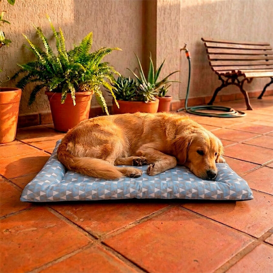 Colchonete Pet Quality Impermeável Grande Collor Azul