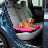 Colchonete Pet Toddy Impermeável Pequeno Cinza