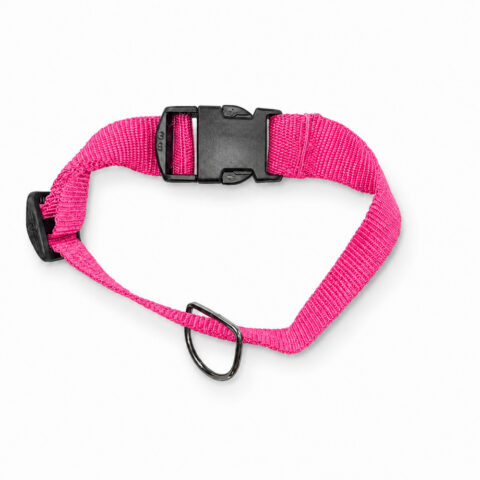 Coleira Pet Simples Pink