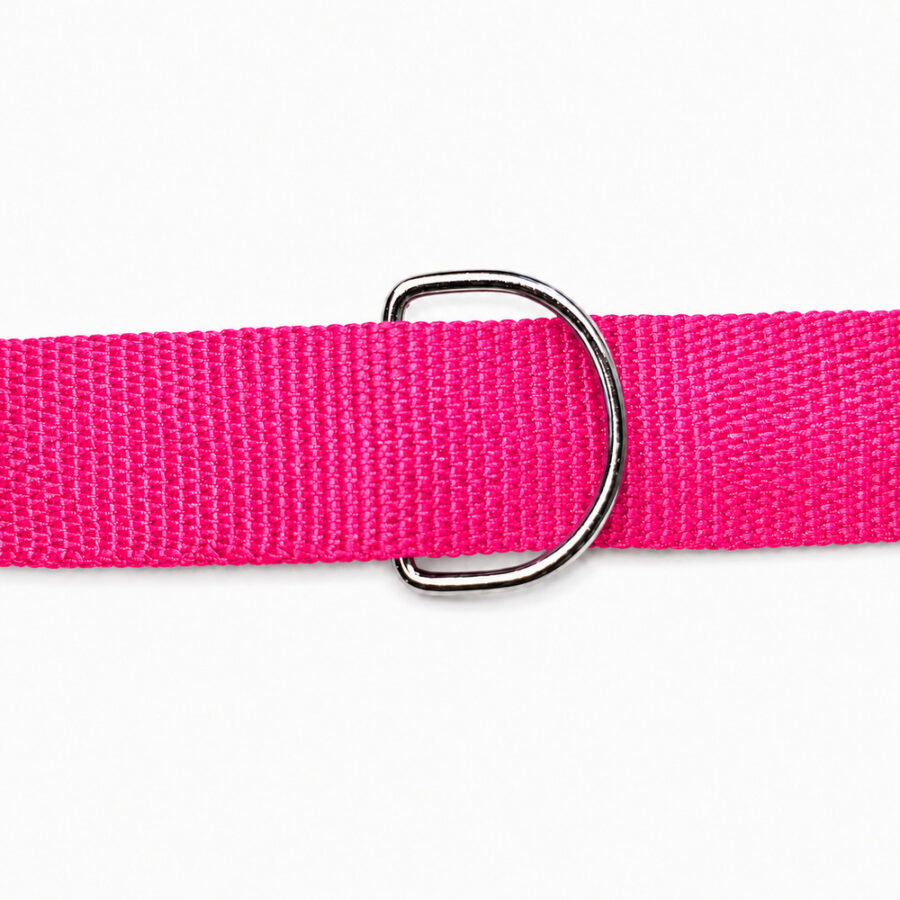 Coleira Pet Simples Pink