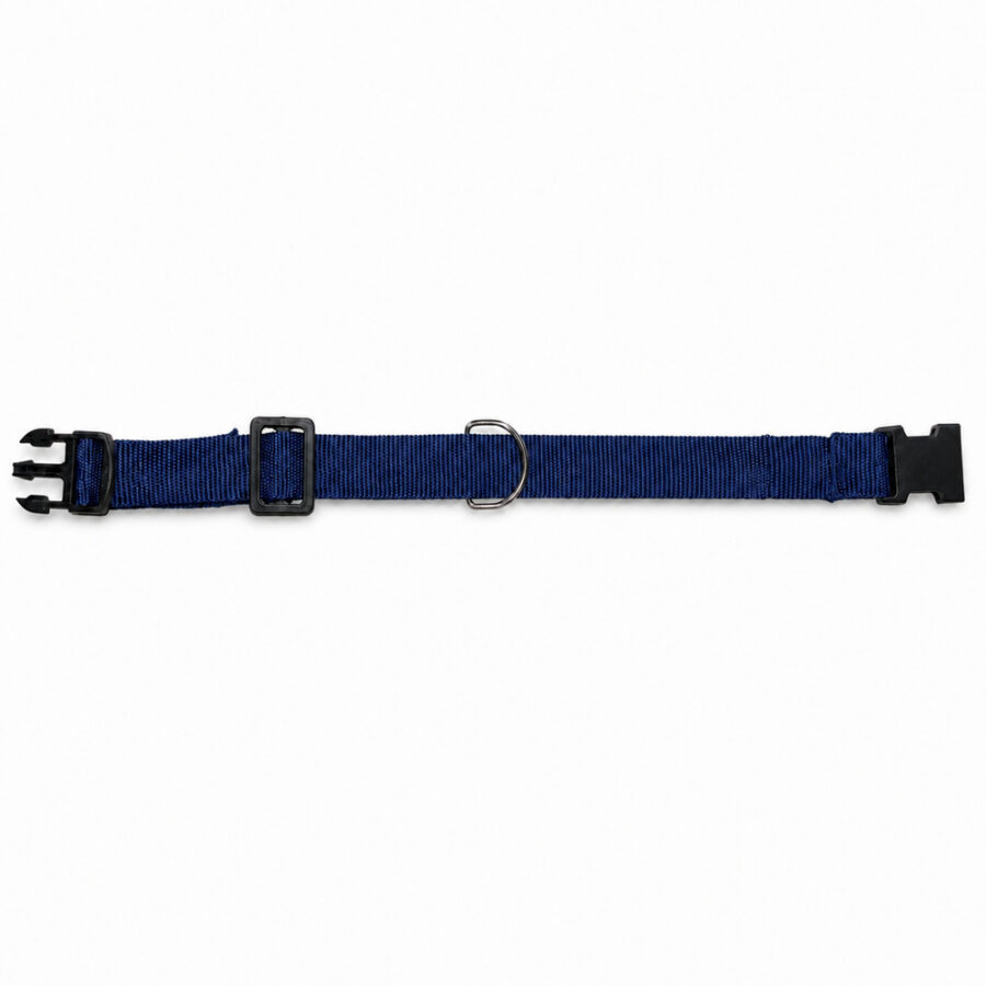 Coleira Pet Simples Azul