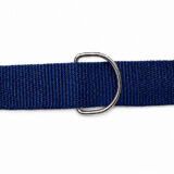 Coleira Pet Simples Azul