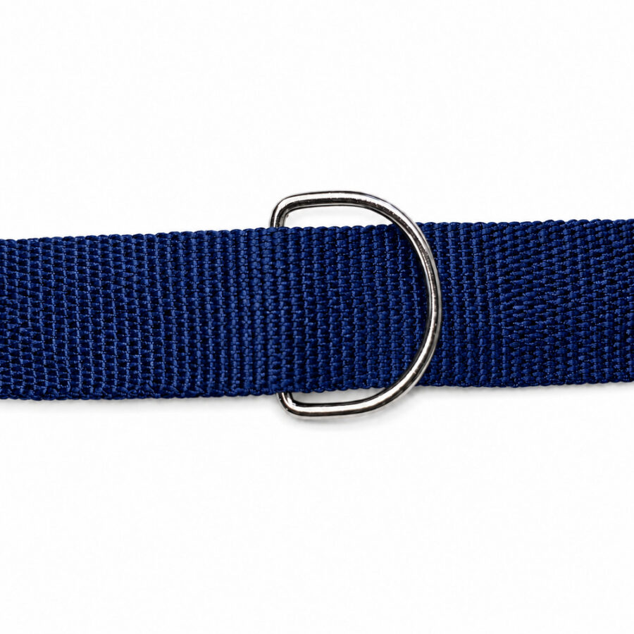 Coleira Pet Simples Azul