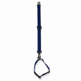 Conjunto Cinto de Segurança e Coleira Pet Simples Azul