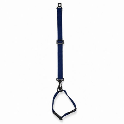 Conjunto Cinto de Segurança e Coleira Pet Simples Azul