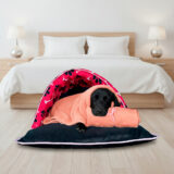 Kit Saco de Dormir Pet Impermeável Téo 2 Peças Pink e Manta