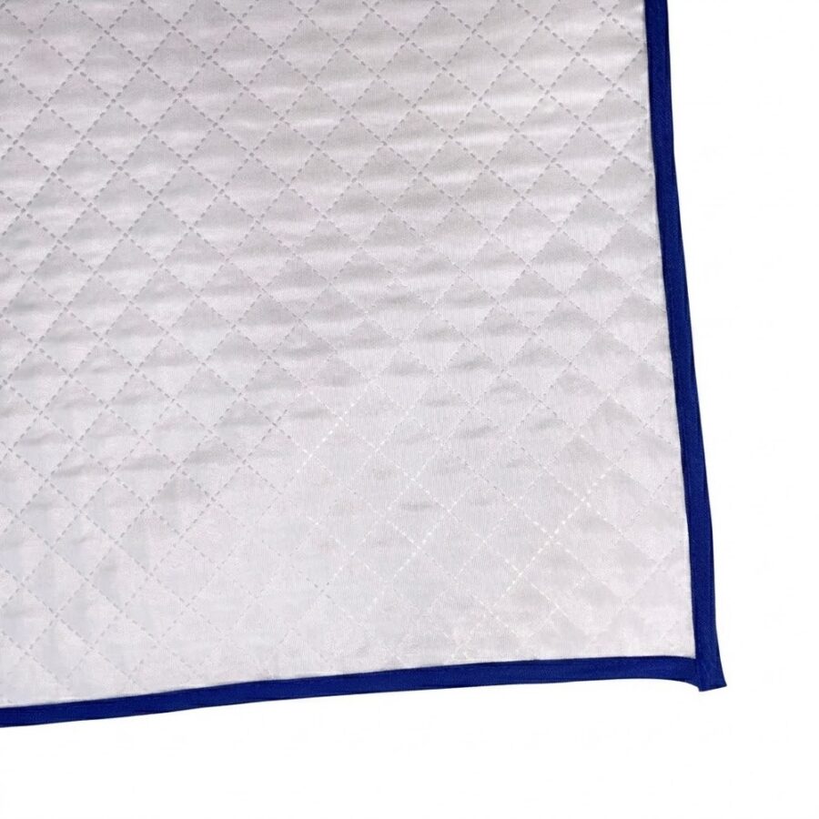 Tapete Higiênico Impermeável para Pet Médio Clean Azul