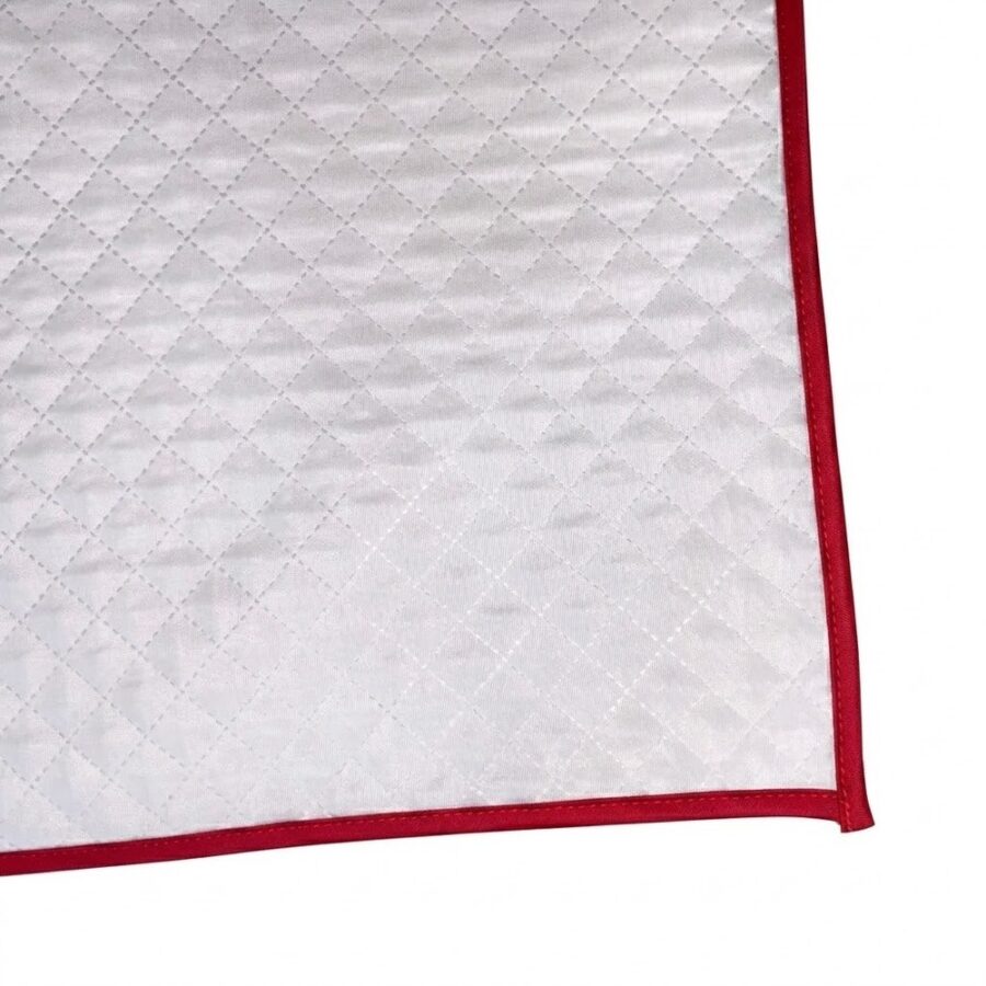 Tapete Higiênico Impermeável para Pet Pequeno Clean Vermelho